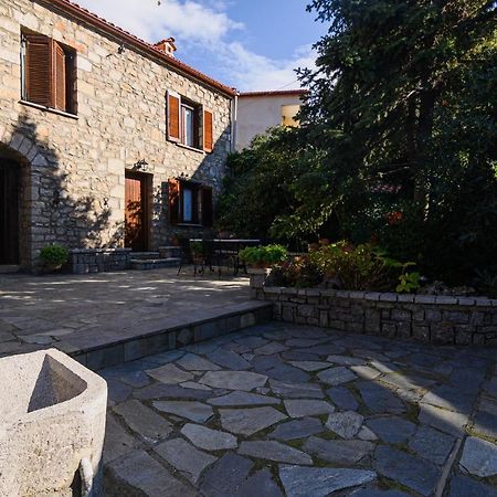 Guesthouse Karahalios Polydrosos Zewnętrze zdjęcie