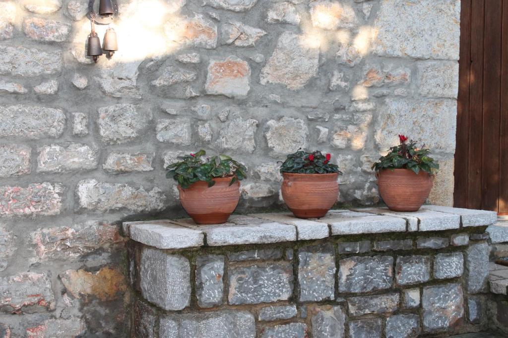 Guesthouse Karahalios Polydrosos Zewnętrze zdjęcie